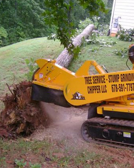 Storm Cleanup and Tree Demolition by Chipper LLC Tree Service